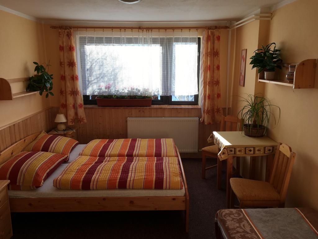 Penzion Janouskovi Harrachov Zewnętrze zdjęcie
